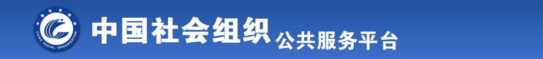 www.插大鸡色全国社会组织信息查询